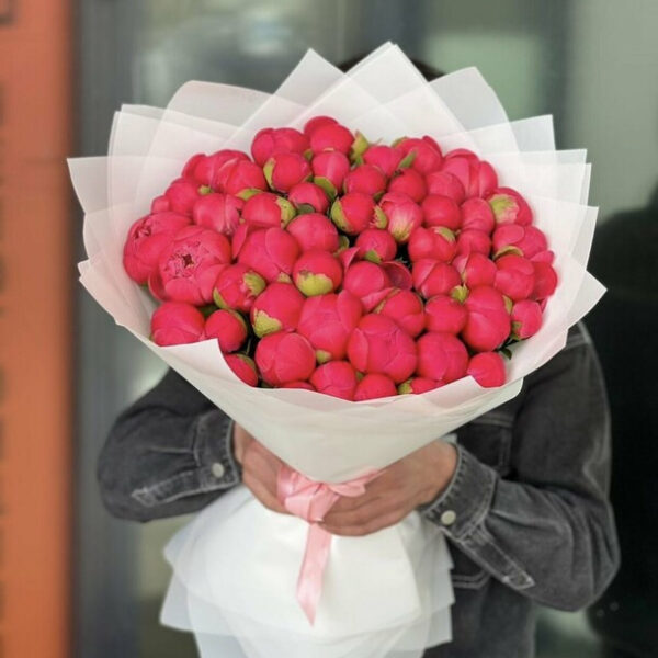 Букет из 51 коралловых пион