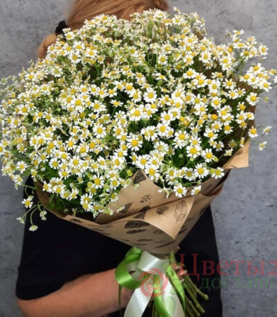 Букет из 25 ромашек