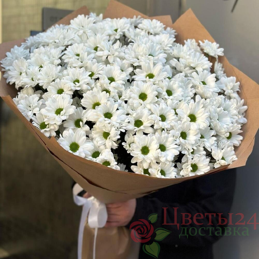 Букет из 15 кустовых хризантем Букет из 15 кустовых хризантем
