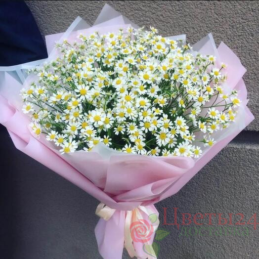 Букет из 25 ромашек