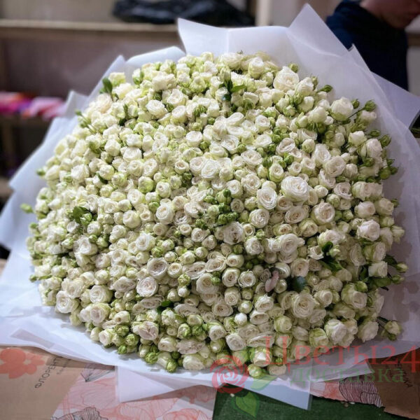 101 Пионовидная кустовая роза