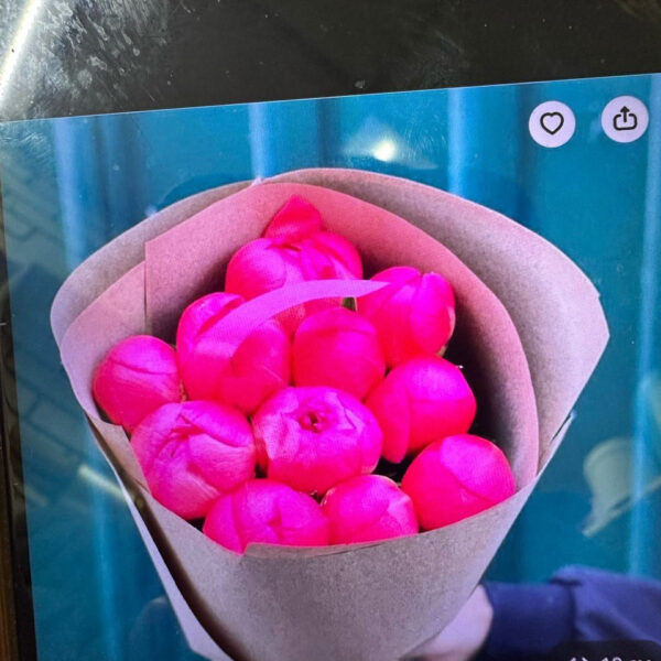 Букет из 11 коралловых пион