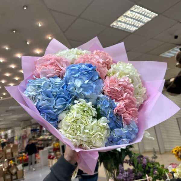 Букет из 9 микс гортензий