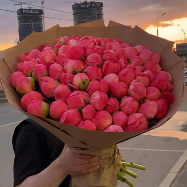 Букет из 57 коралловых пион