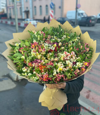 Букет из 51 альстромерий