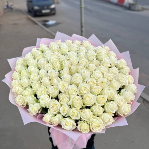 букет из 99 белых роз