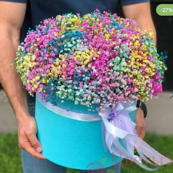 21 радужных гипсофил в коробке