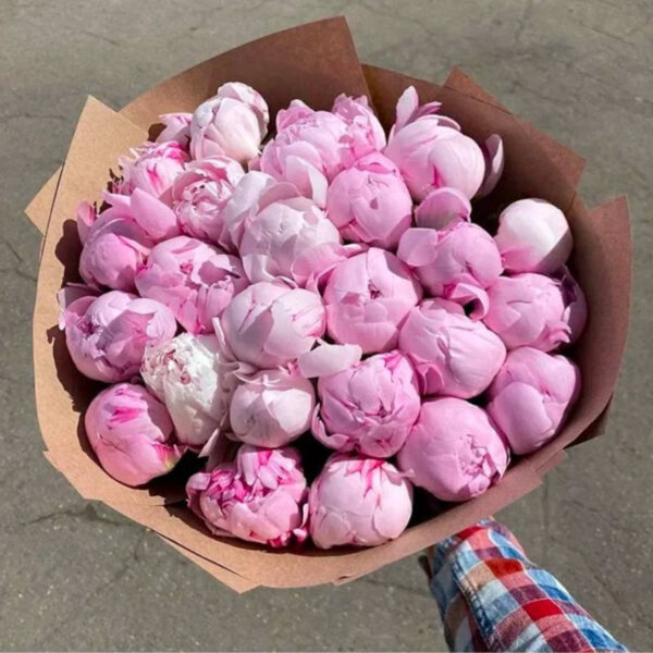 Букет из 25 пион