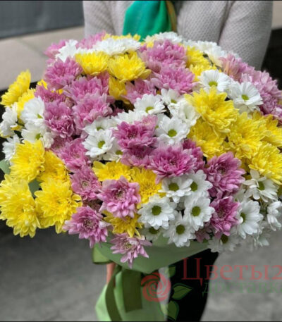 Букет из 25 кустовых хризантем