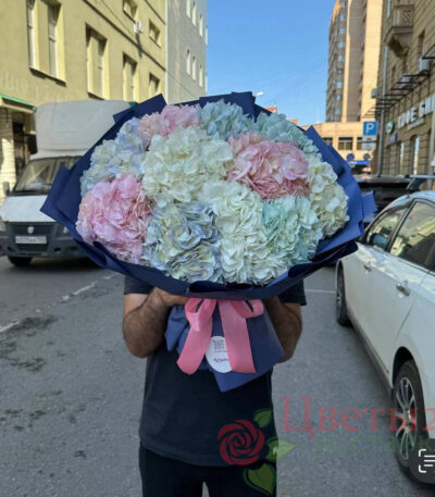Букет из 15 гортензий