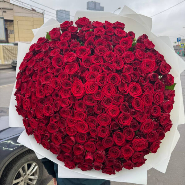 Букет из 151 роз