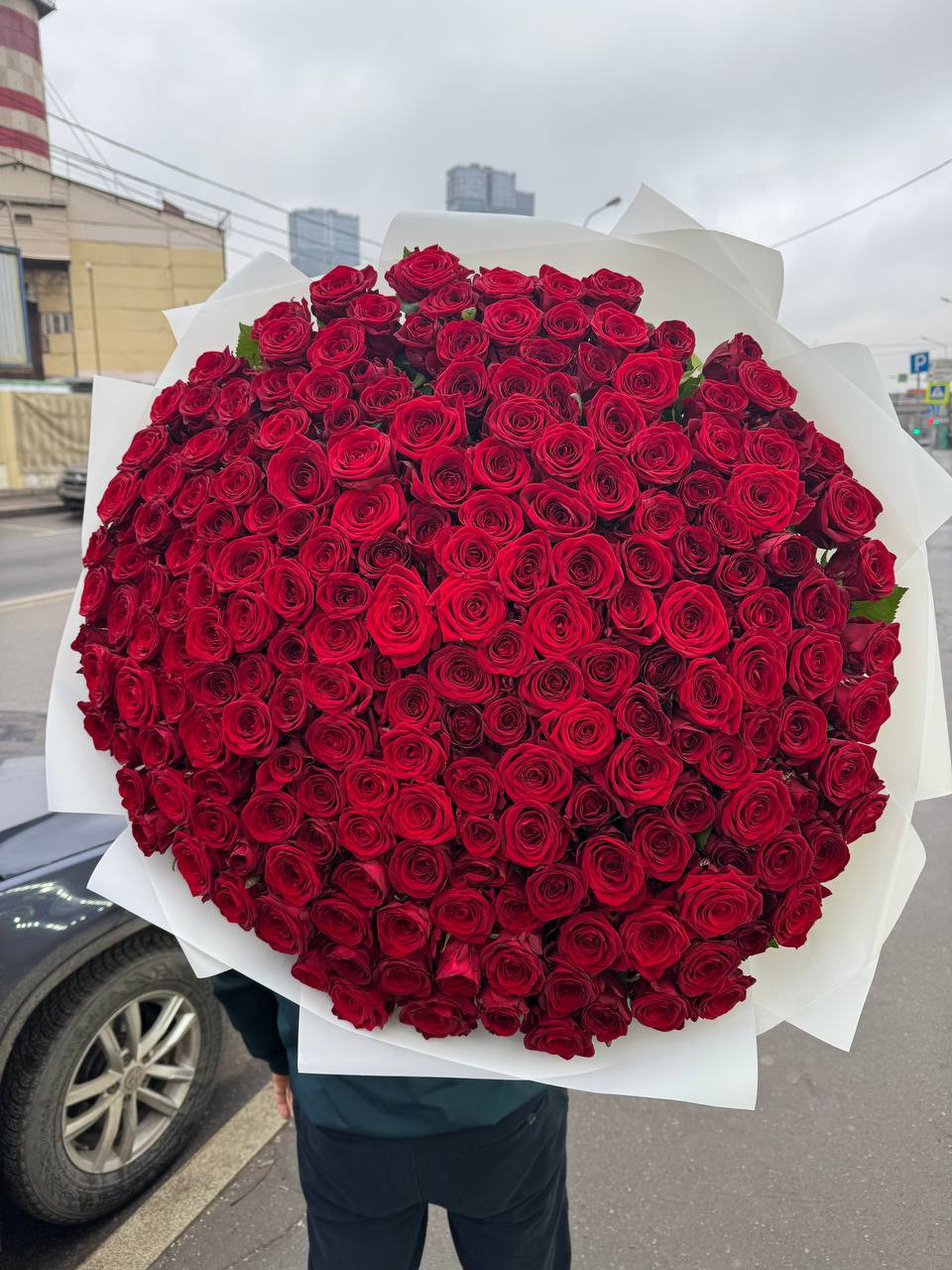 Букет из 151 роз Букет из 151 роз