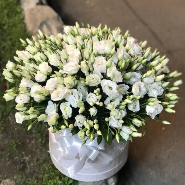 29 белых эустом в коробке