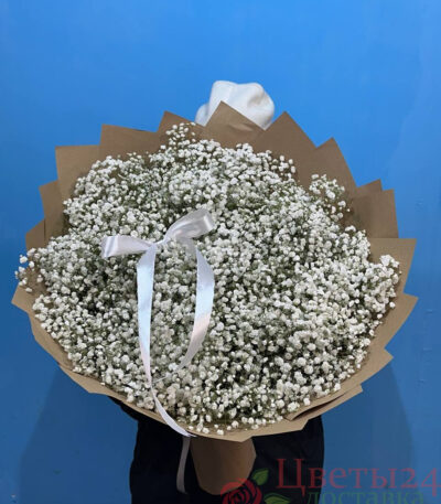 Букет из 23 гипсофил