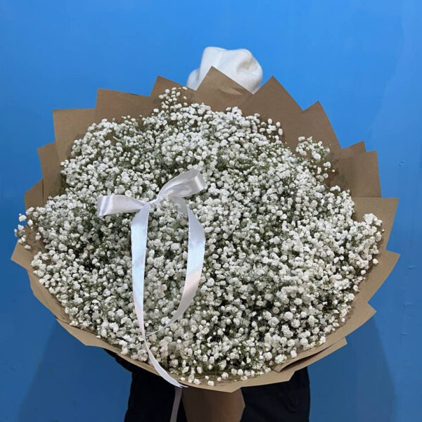 Букет из 23 гипсофил