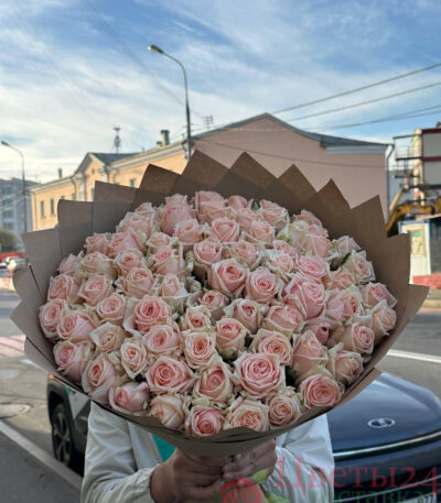 Букет из 71 нежных роз