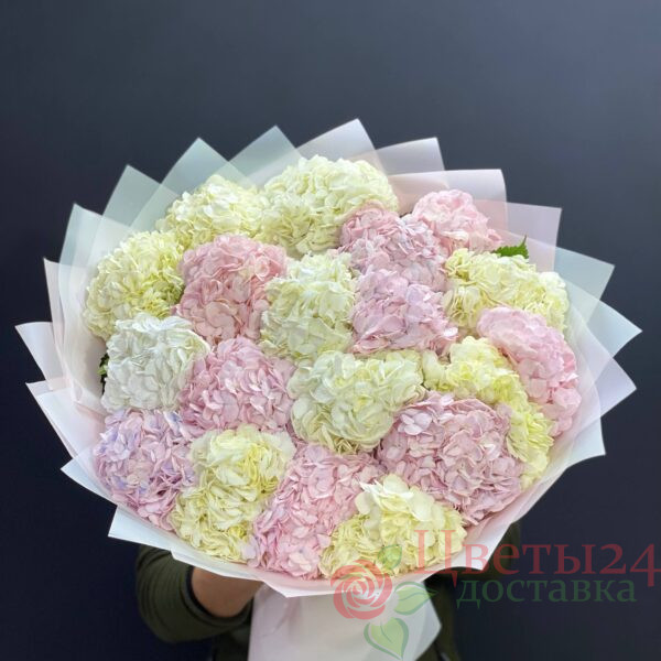 букет из 19 шт Гортензия