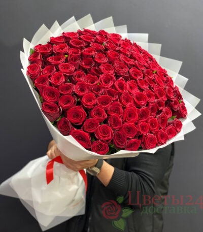 Роза красный 101 шт