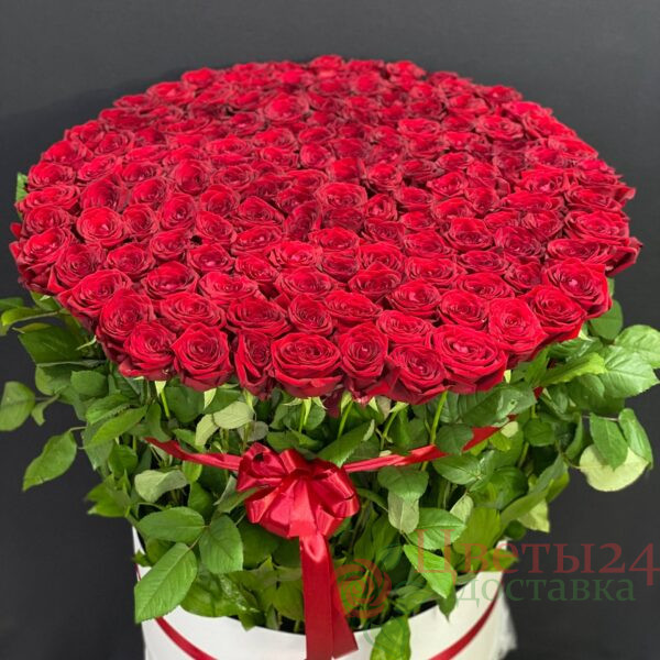 151 Красная роза