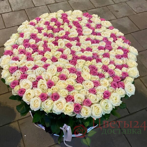 Козина из 301 шт роза микс роза