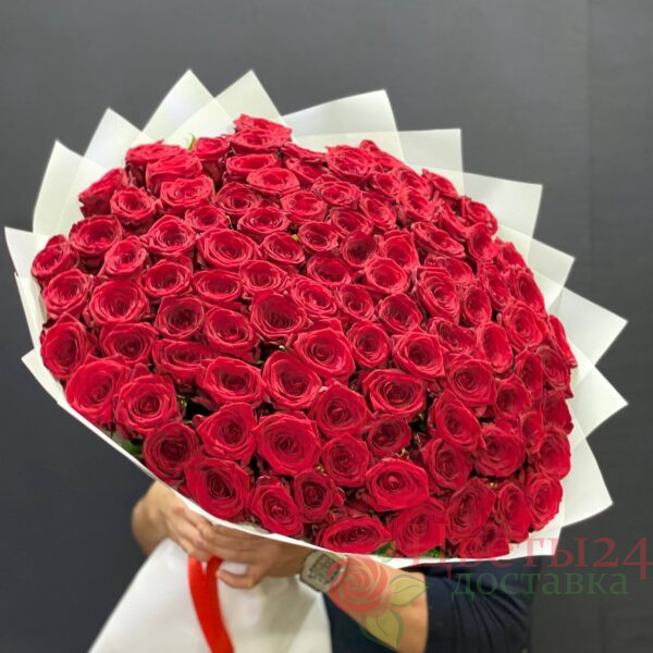 Букет из 151 розы