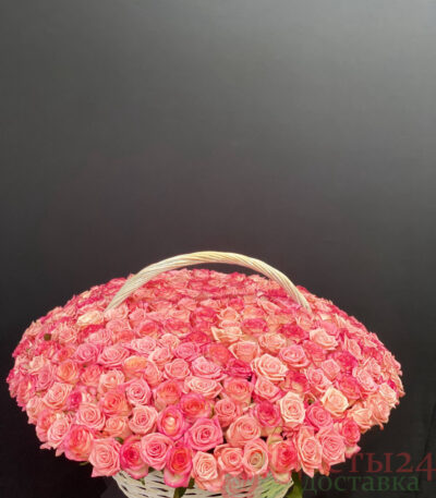 Карниз из 251 розвий розы