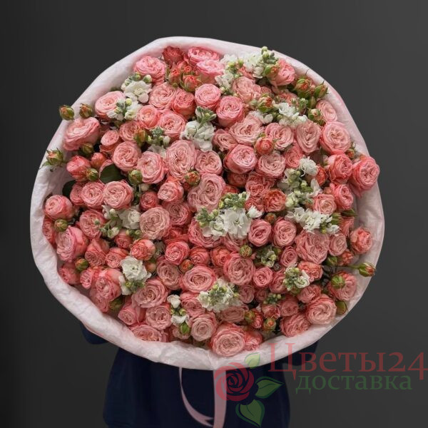 Букет из кустовая роза и матиолла